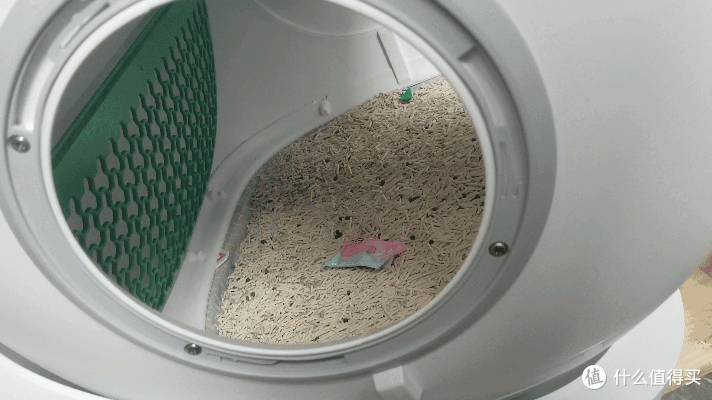 单挑6猫？满血开挂数码智慧养宠攻略，你和我之间就差这4件神器！
