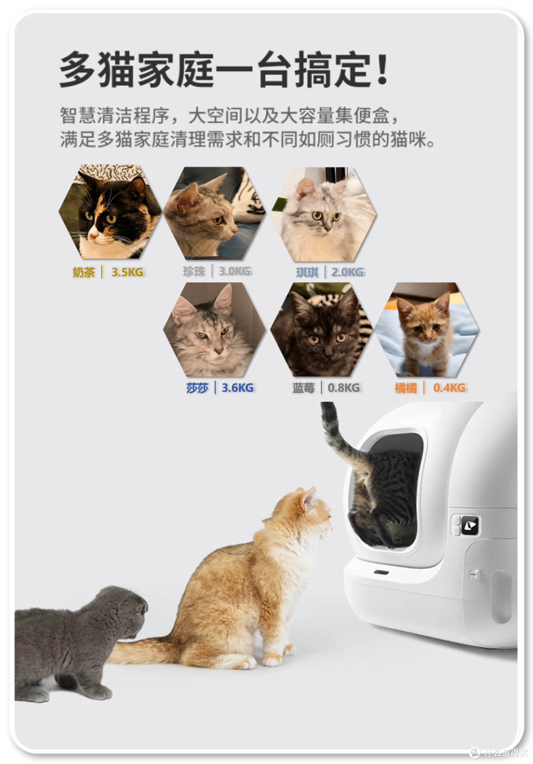 单挑6猫？满血开挂数码智慧养宠攻略，你和我之间就差这4件神器！
