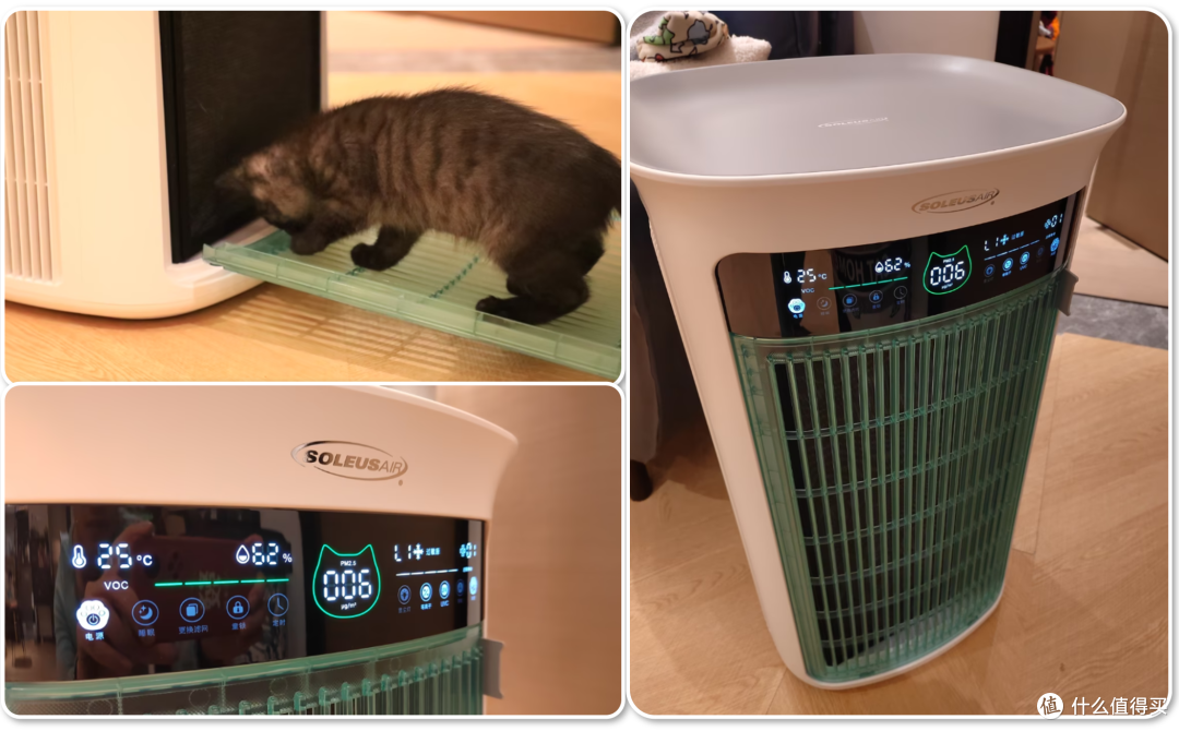 单挑6猫？满血开挂数码智慧养宠攻略，你和我之间就差这4件神器！