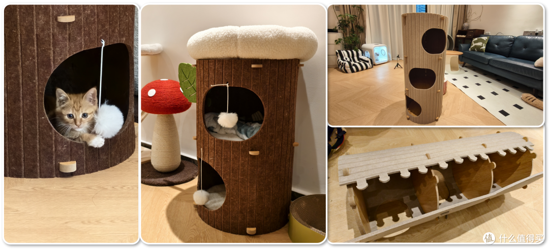 单挑6猫？满血开挂数码智慧养宠攻略，你和我之间就差这4件神器！