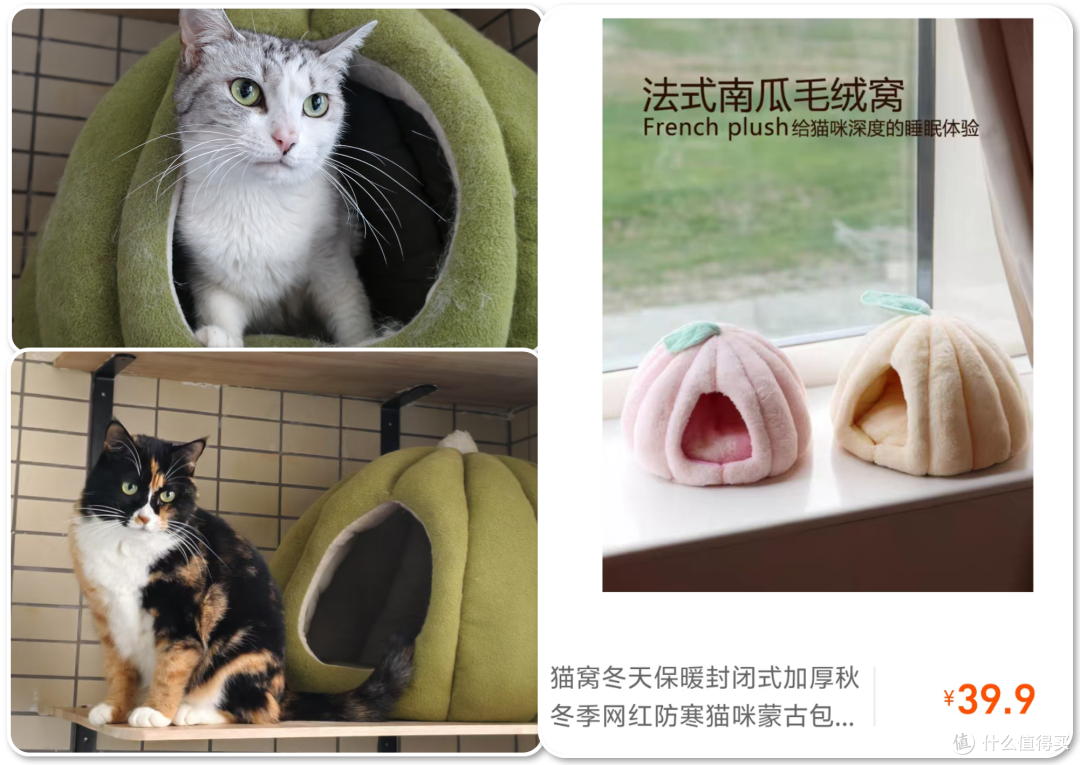 单挑6猫？满血开挂数码智慧养宠攻略，你和我之间就差这4件神器！
