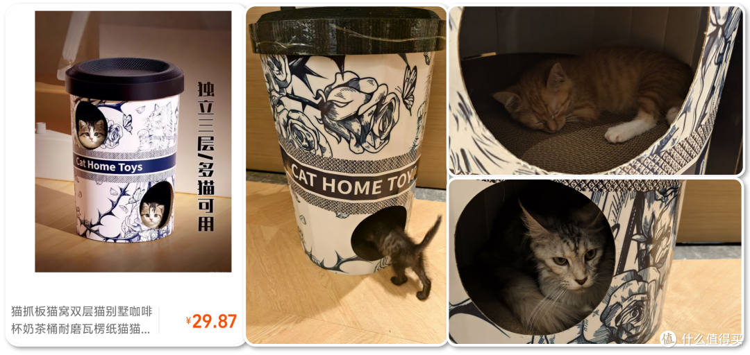 单挑6猫？满血开挂数码智慧养宠攻略，你和我之间就差这4件神器！