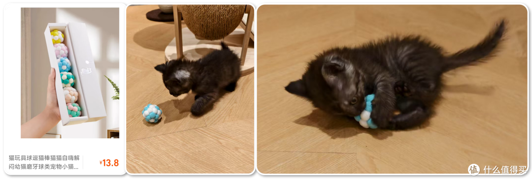 单挑6猫？满血开挂数码智慧养宠攻略，你和我之间就差这4件神器！