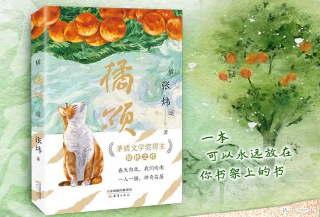 送给9-99岁的少年读者