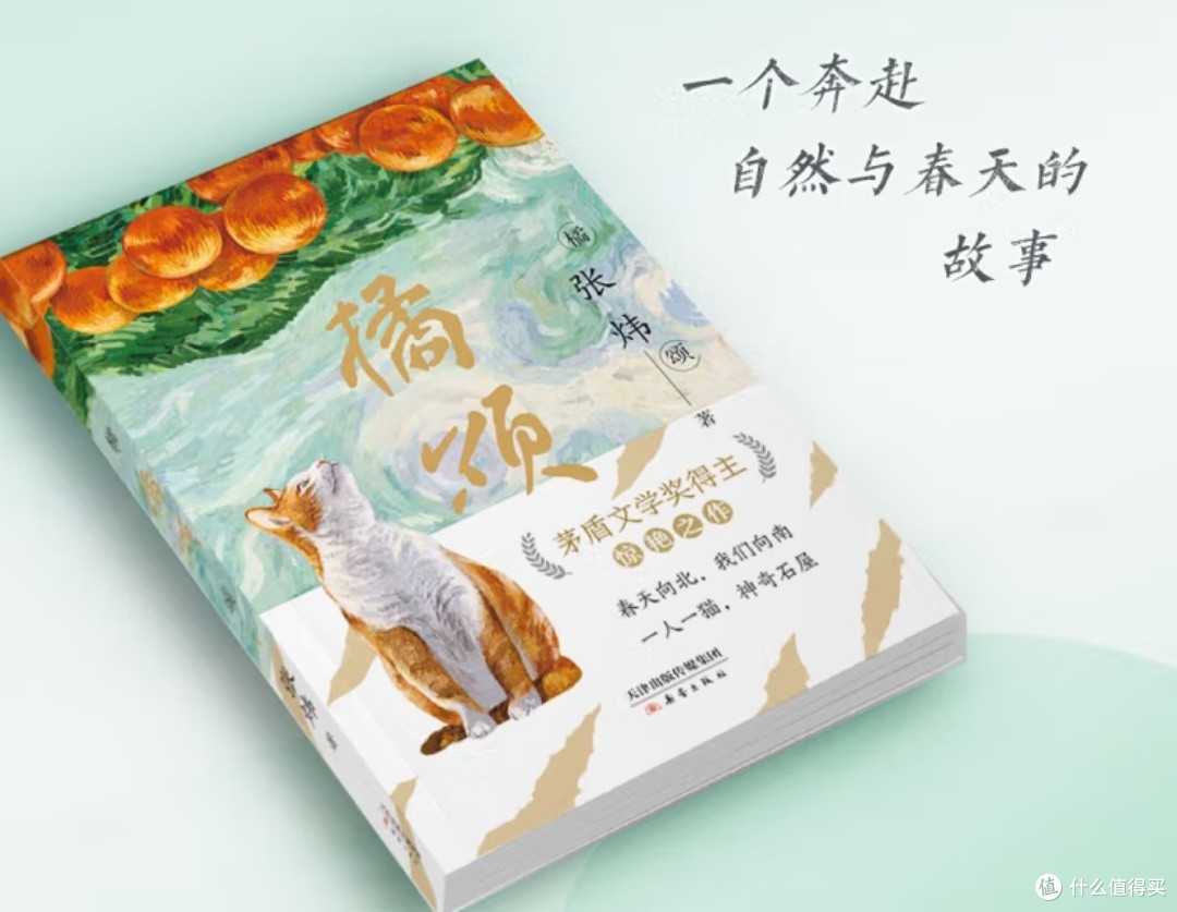 送给9-99岁的少年读者