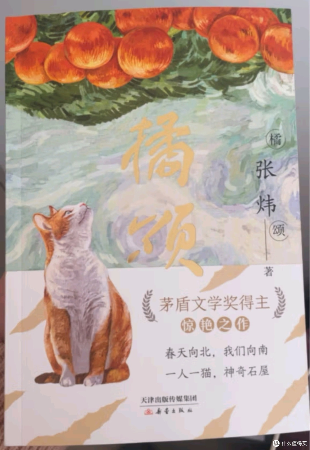 送给9-99岁的少年读者
