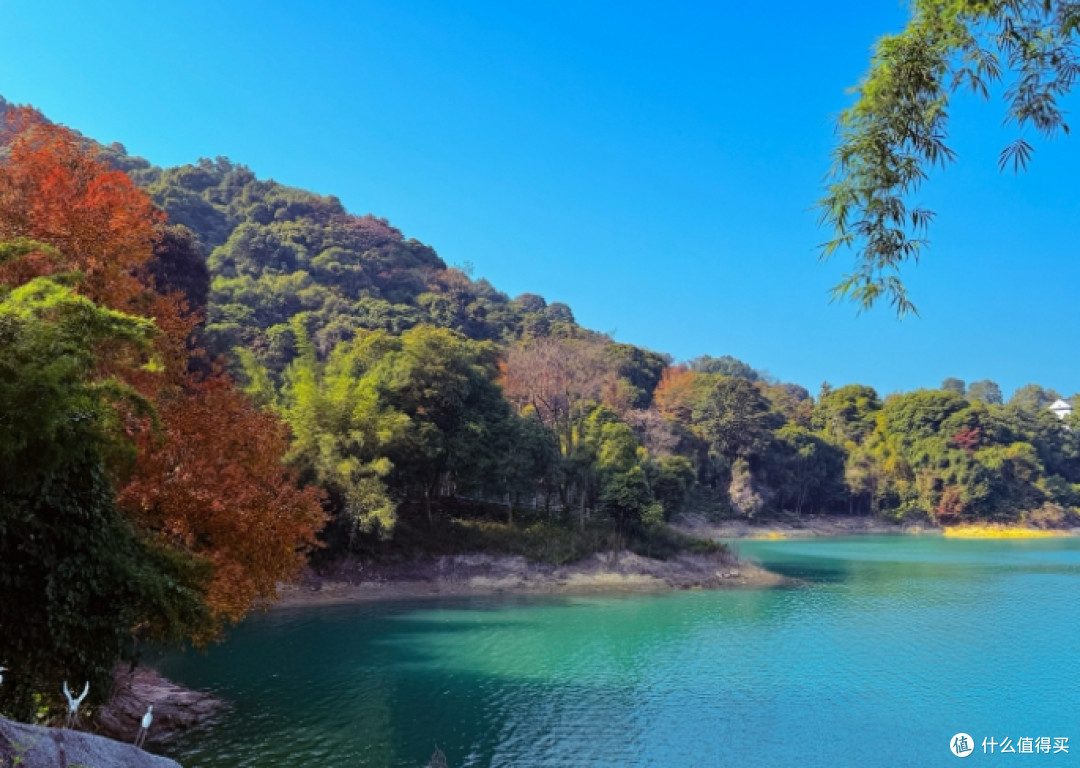 万绿湖风景区全攻略：探秘岭南碧水丹青