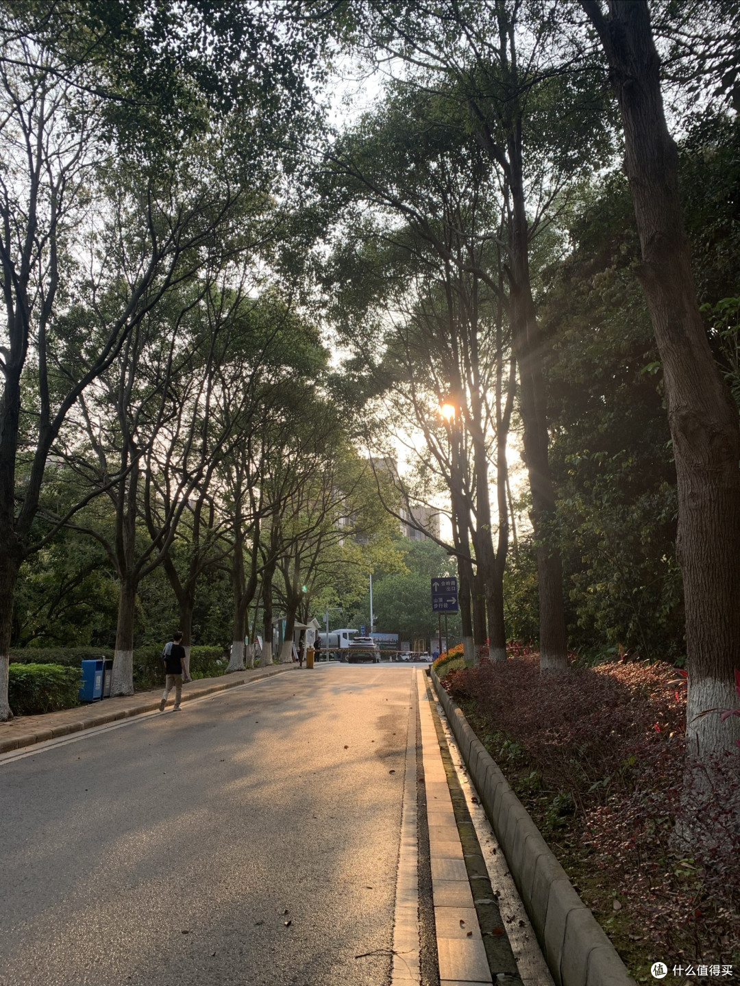 骑行记|车轮与脚步丈量下的风景——黄山鲁森林公园