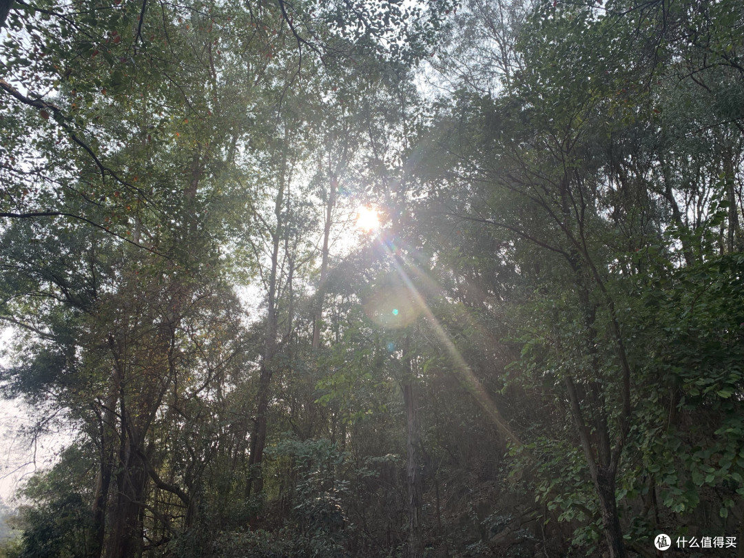 骑行记|车轮与脚步丈量下的风景——黄山鲁森林公园
