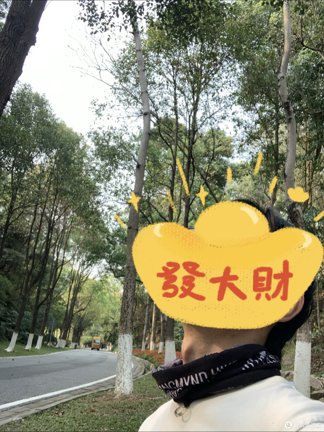 骑行记｜车轮与脚步丈量下的风景——黄山鲁森林公园