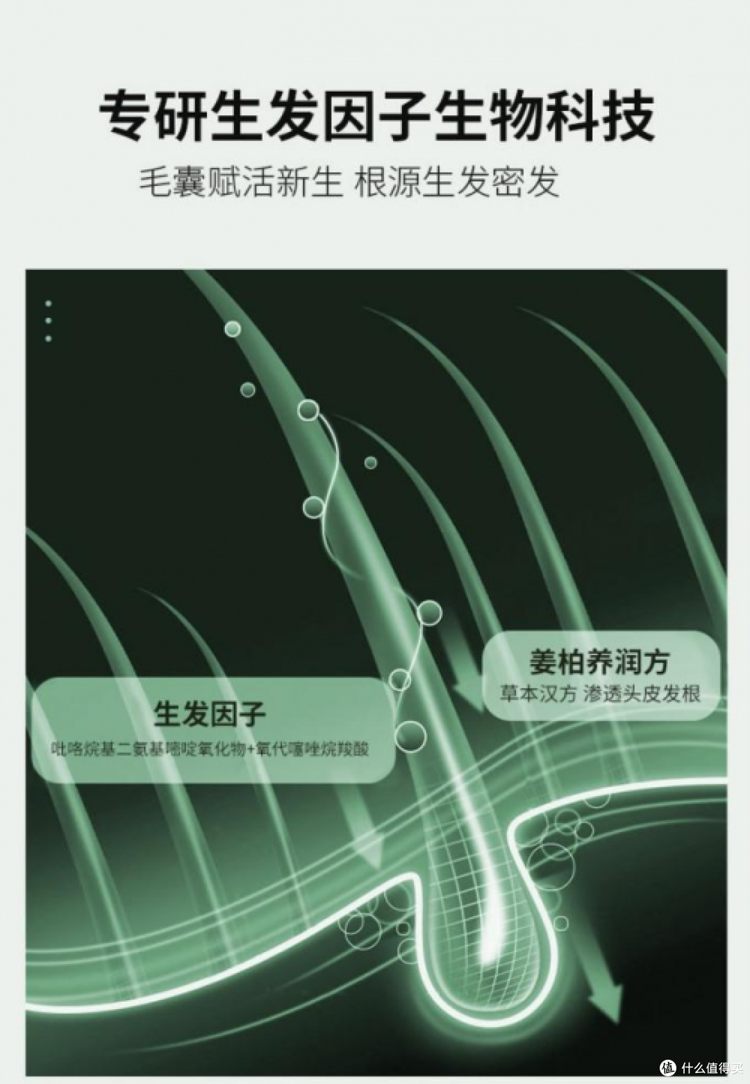 防脱生发口碑最好的产品,中国防脱最好的十大品牌,推荐