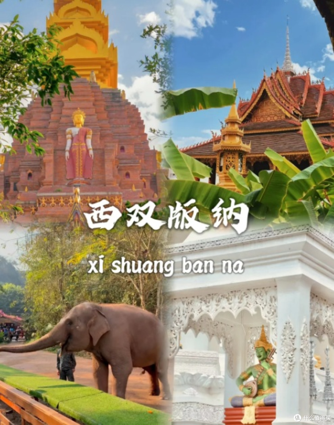 五一我就要飞云南!|一个打工人憋出来的假期计划指南