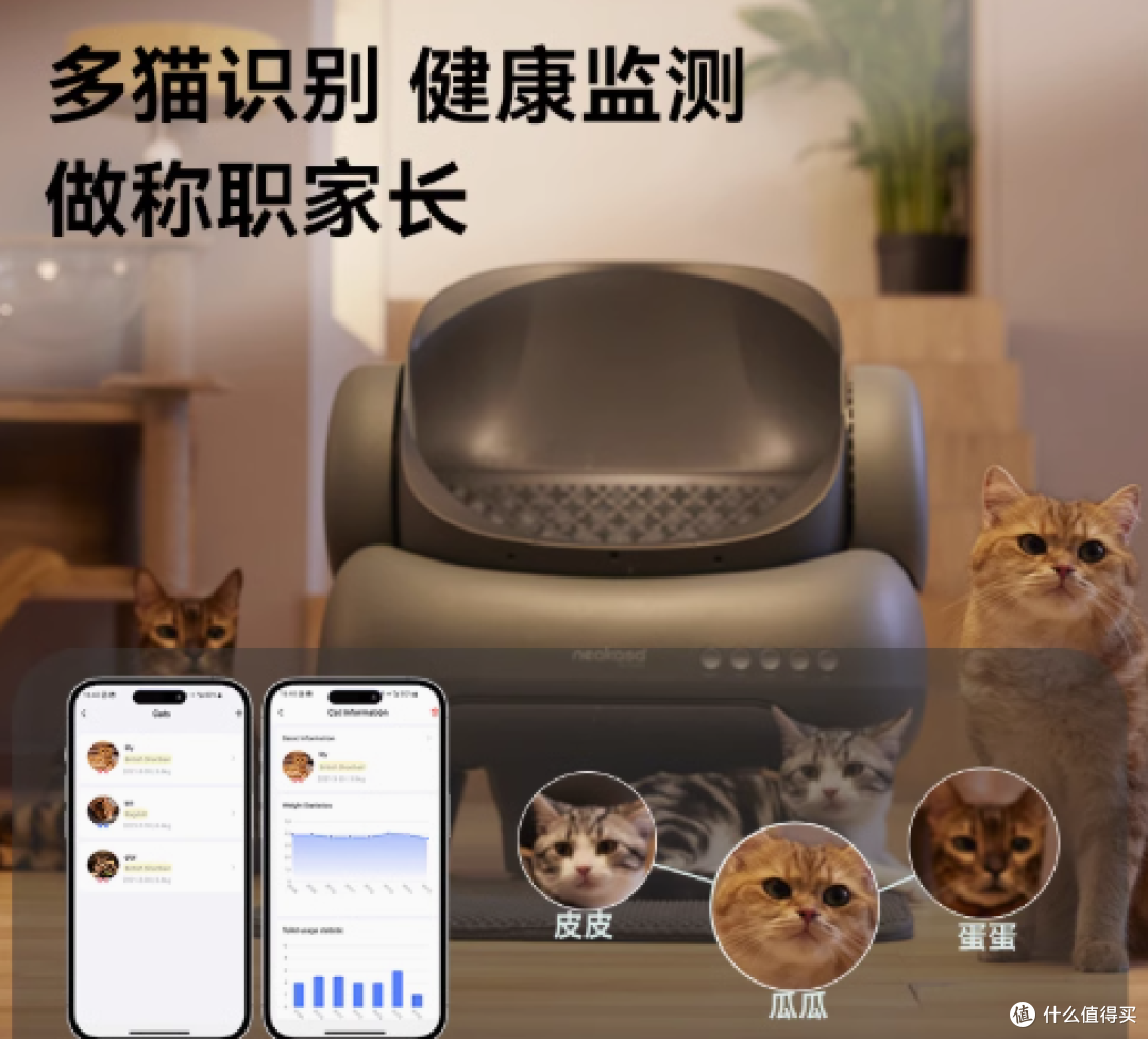 用户口碑爆棚!宜宝自动猫砂盆成多猫家庭“救星”_缅因猫关注
