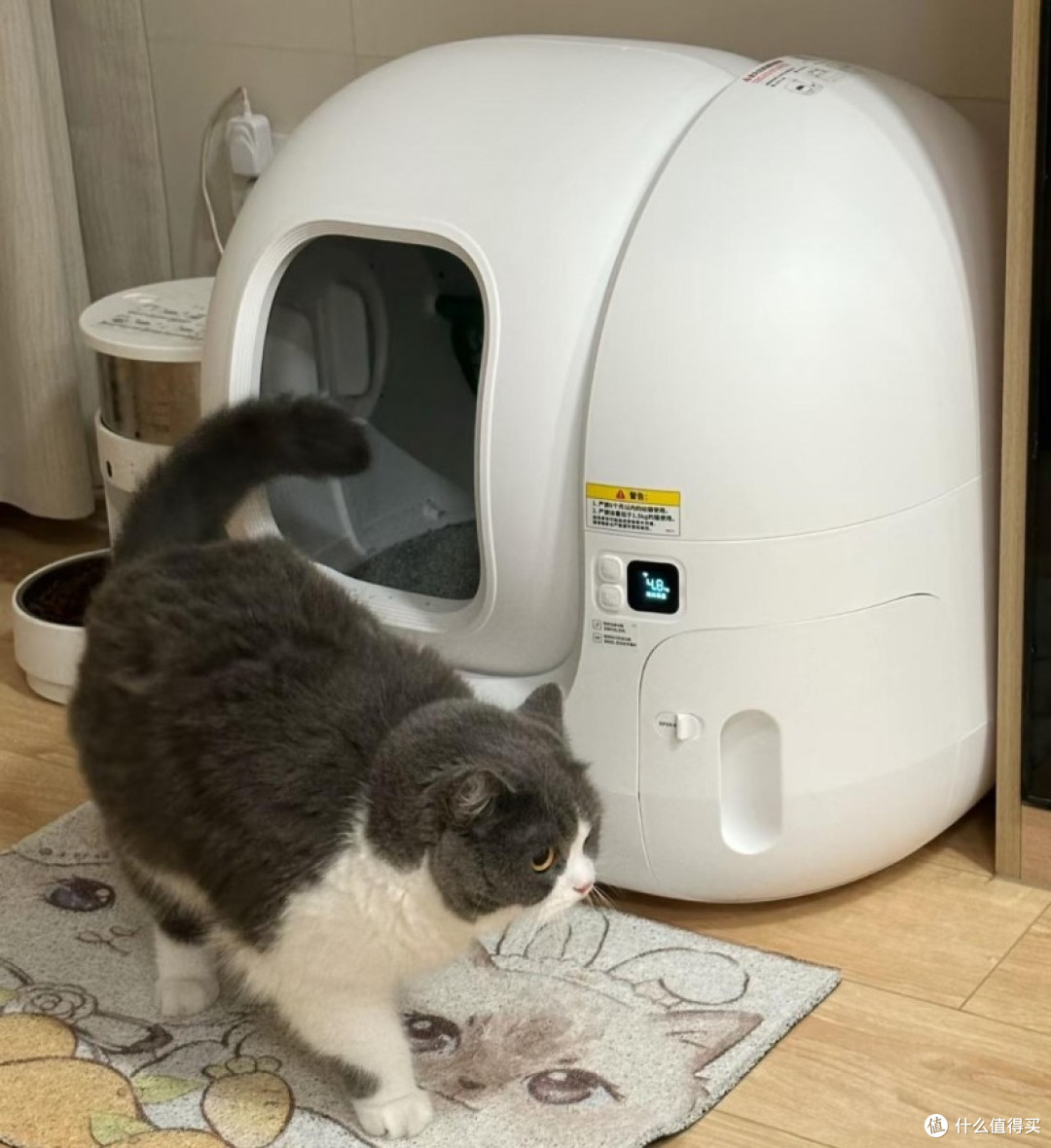 解救铲屎官！自动猫砂盆解放双手神器，宜宝自动猫砂盆颜值最高！