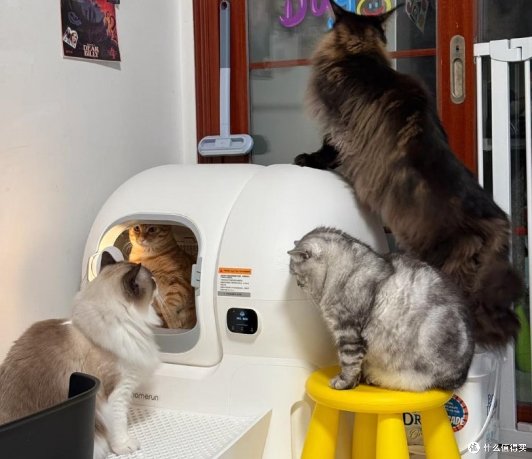解救铲屎官！自动猫砂盆解放双手神器，宜宝自动猫砂盆颜值最高！