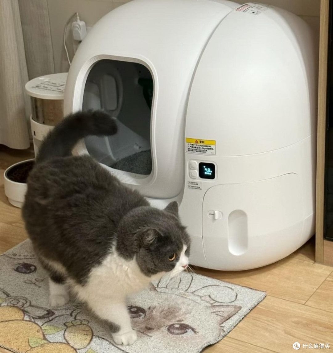自动猫砂盆到底值不值得买?自动猫砂盆解决孩子留守问题!