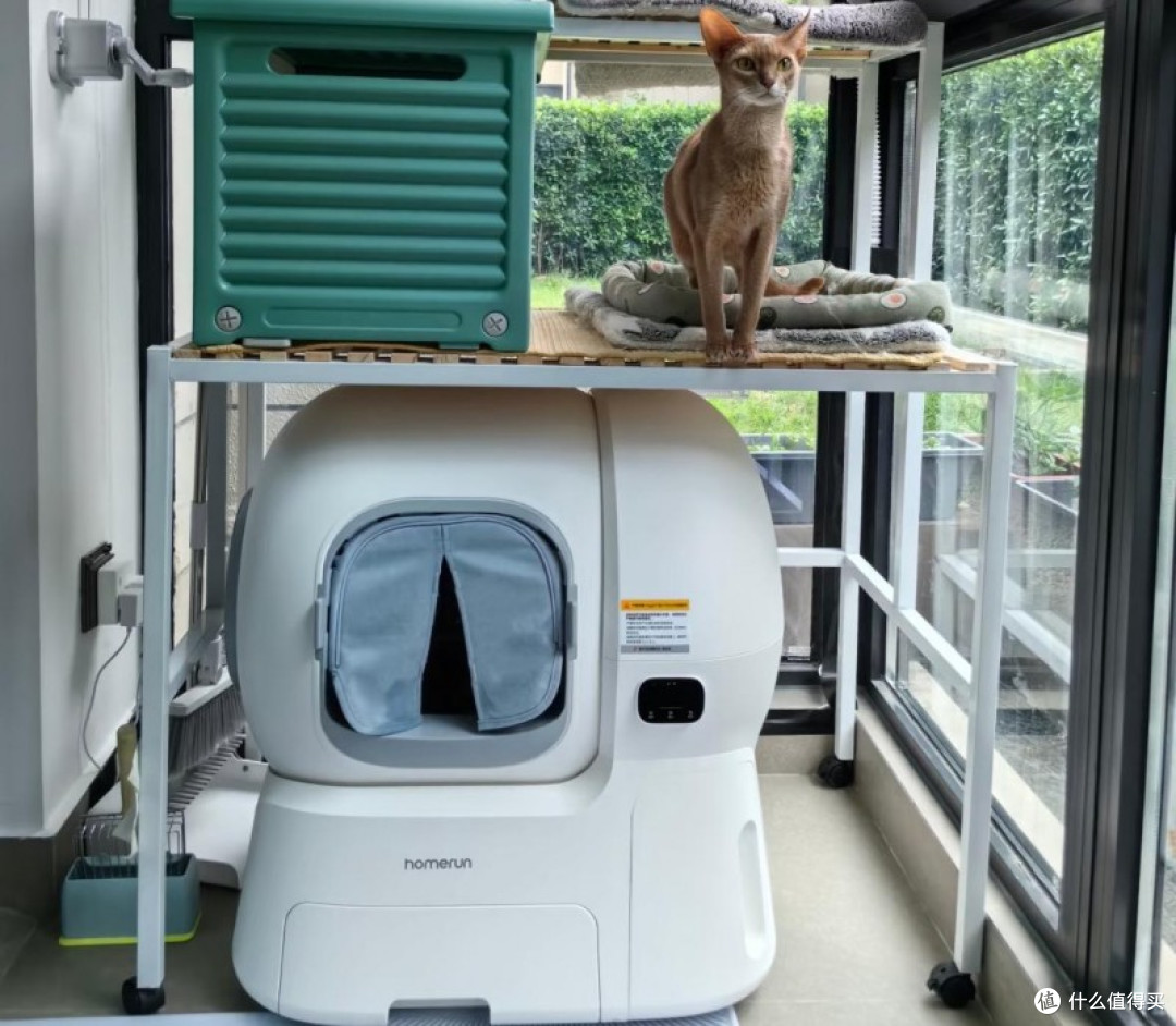 自动猫砂盆到底值不值得买?自动猫砂盆解决孩子留守问题!