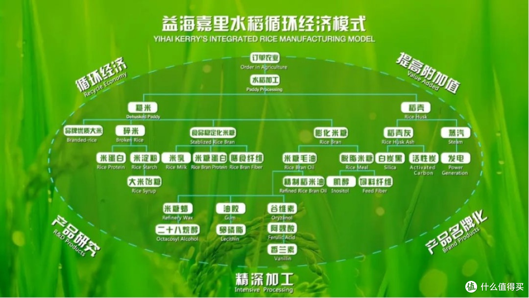 解锁健康新食代,金龙鱼食用油打造粮油绿色样本