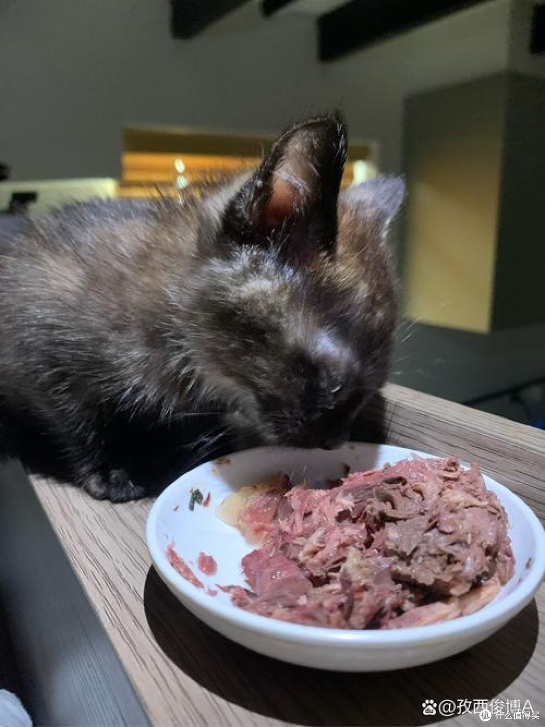全罐喂养什么主食猫罐头最好?好牌子的猫主食罐头推荐