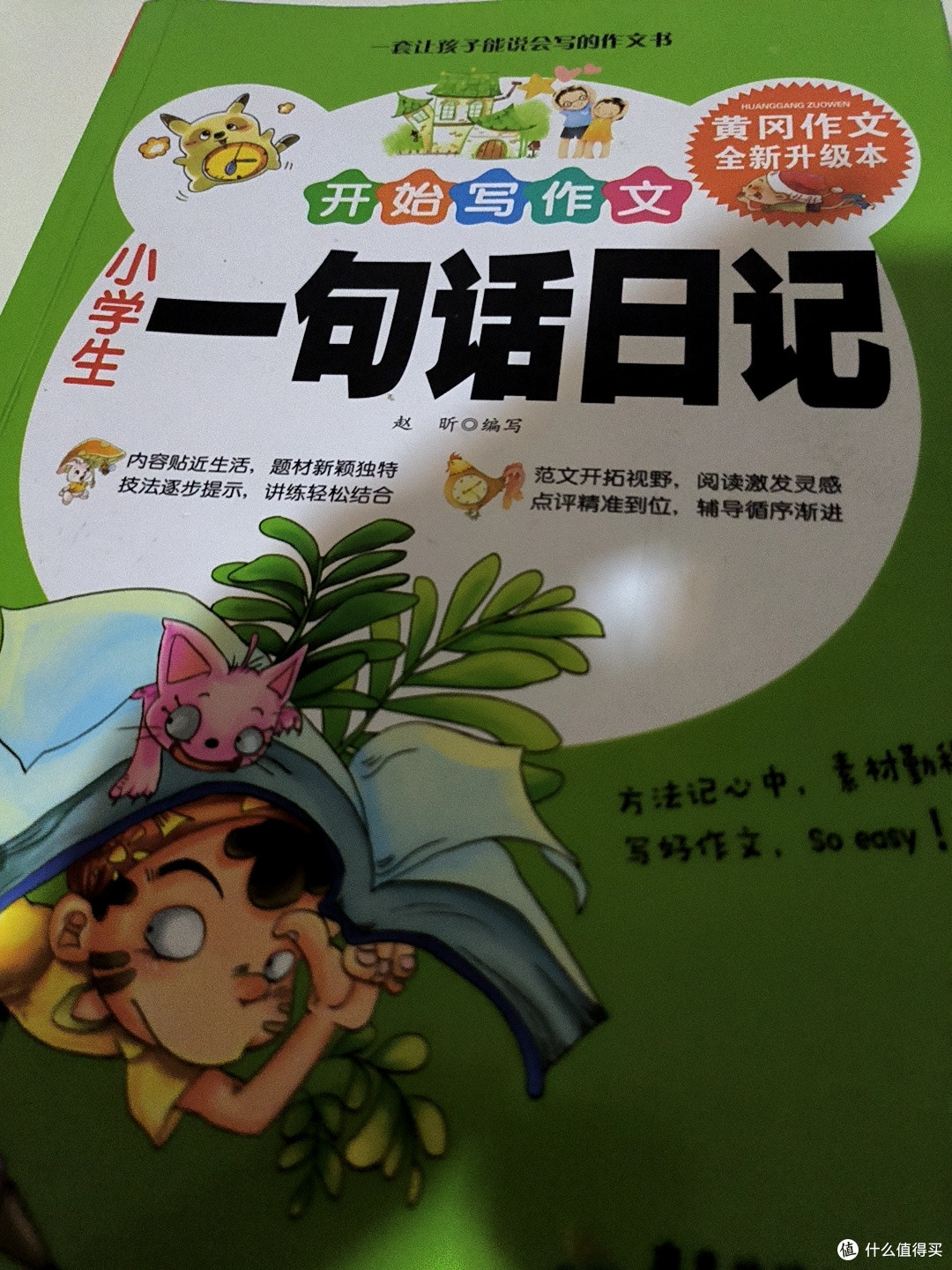 给低年级小朋友准备的《一句话日记》