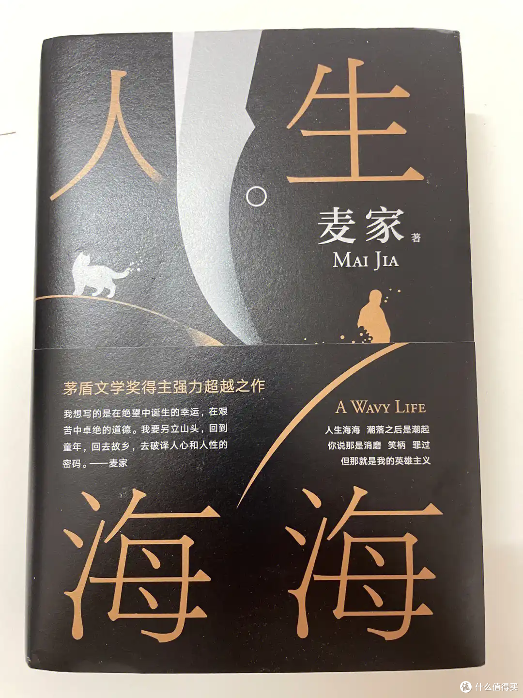《人生海海》:在苦难里,照见活着的光芒