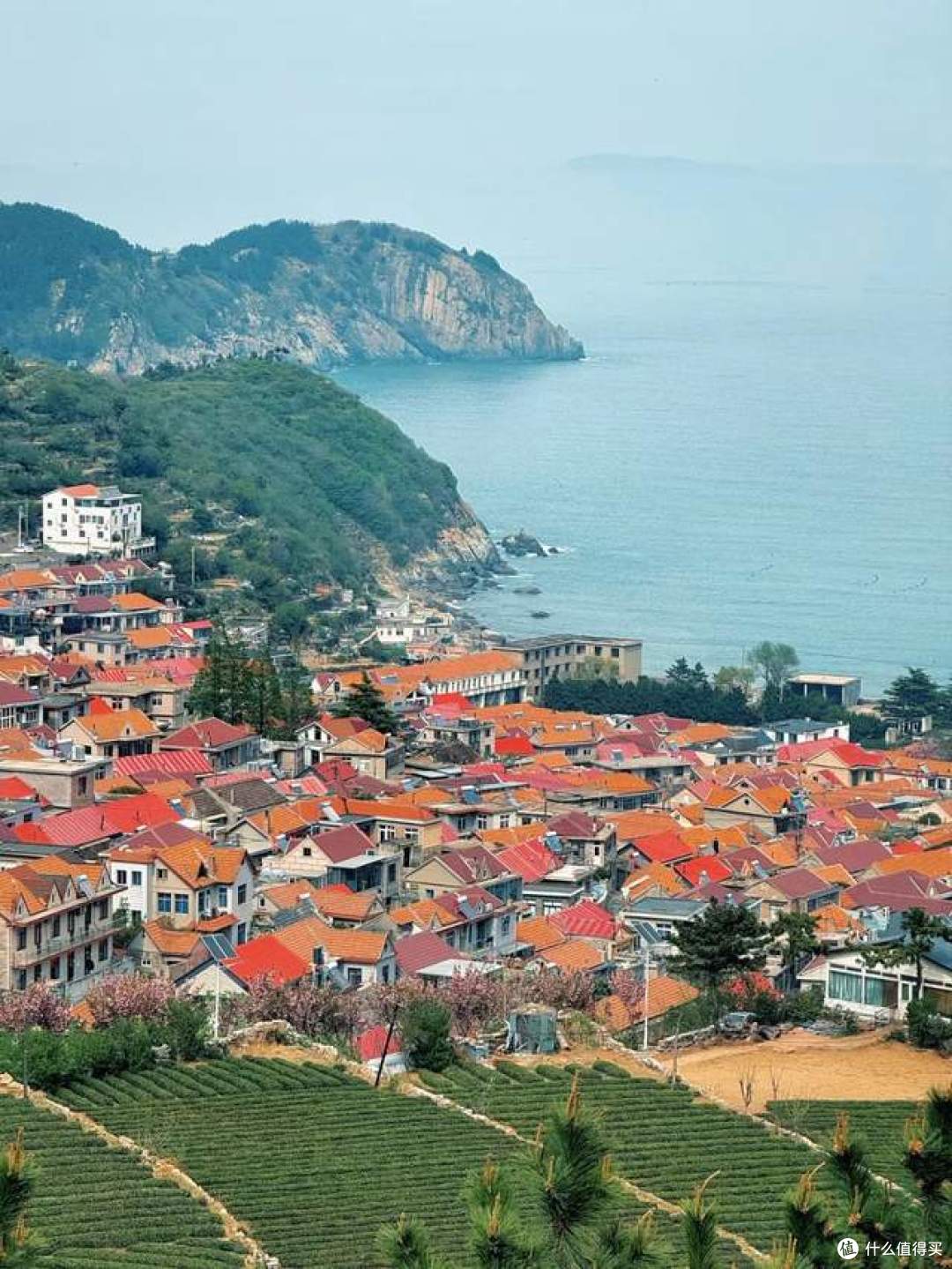 不是青岛海边住不起，而是城阳更有性价比！