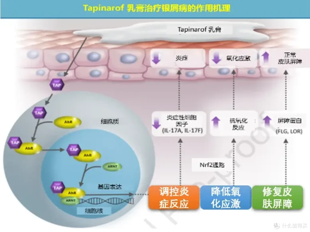 告别银屑病,靶向抗炎才是硬道理,欣比克提供全新选择!