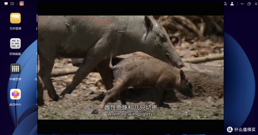绿联DXP4800破解了我的育儿焦虑,学习娱乐储存全不误|NAS分享