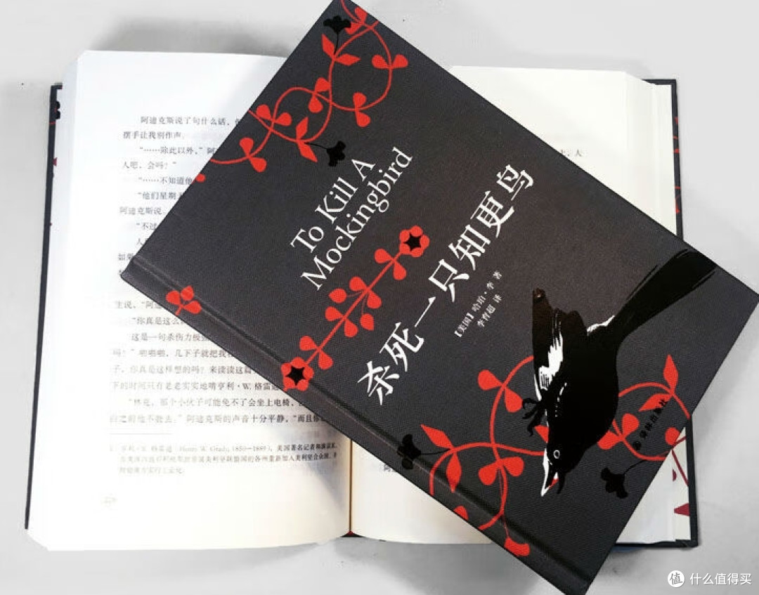 于人性幽微处,聆听《杀死一只知更鸟》的正义回响