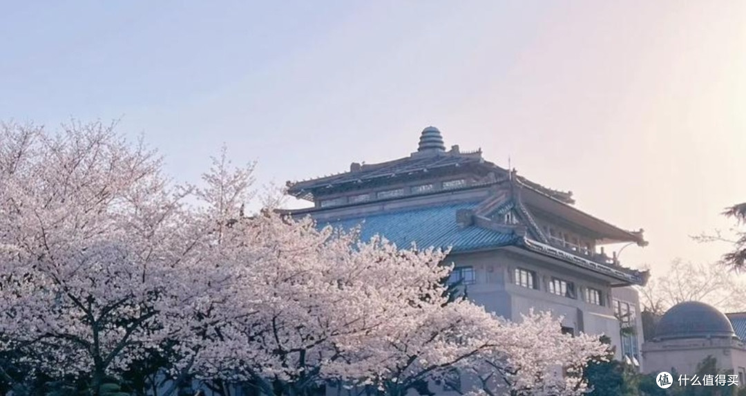 五一假期邂逅黄鹤楼与烂漫樱花