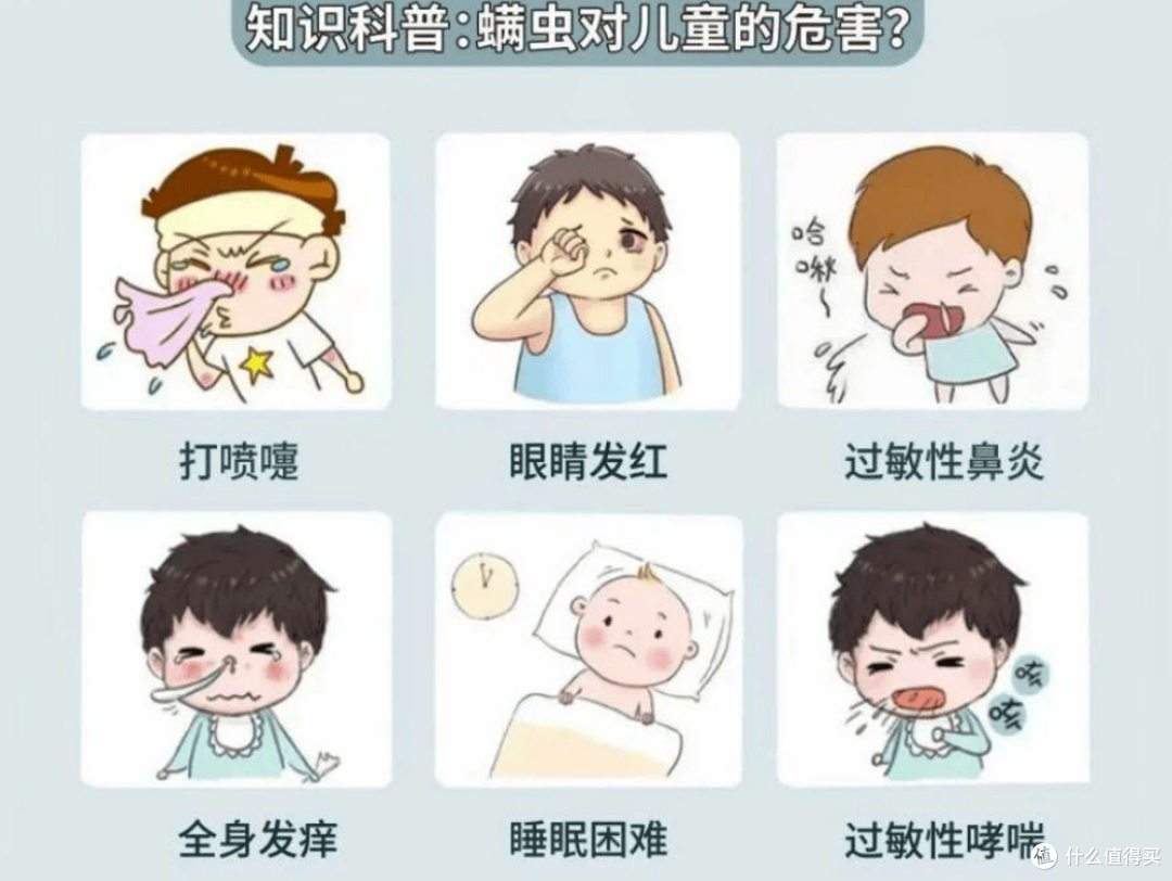 除螨仪十大品牌排名:2025年度十大公认好用的除螨仪推荐