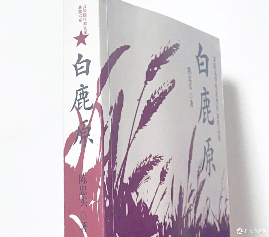 《白鹿原》：黄土地上的人性启示录