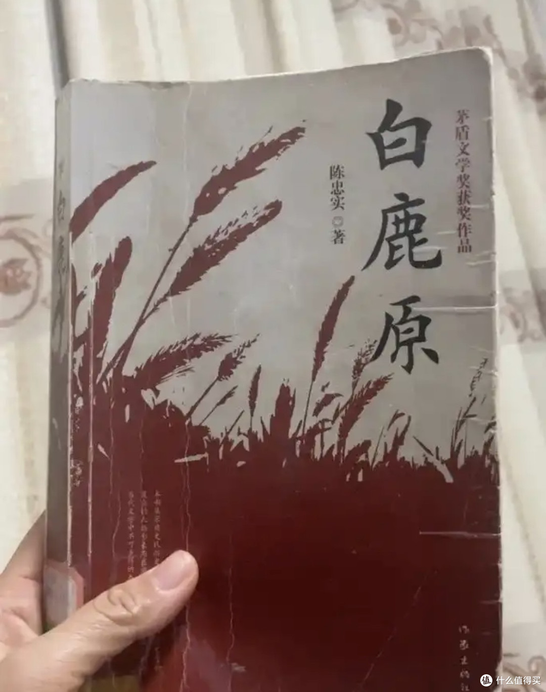 《白鹿原》：黄土地上的人性启示录