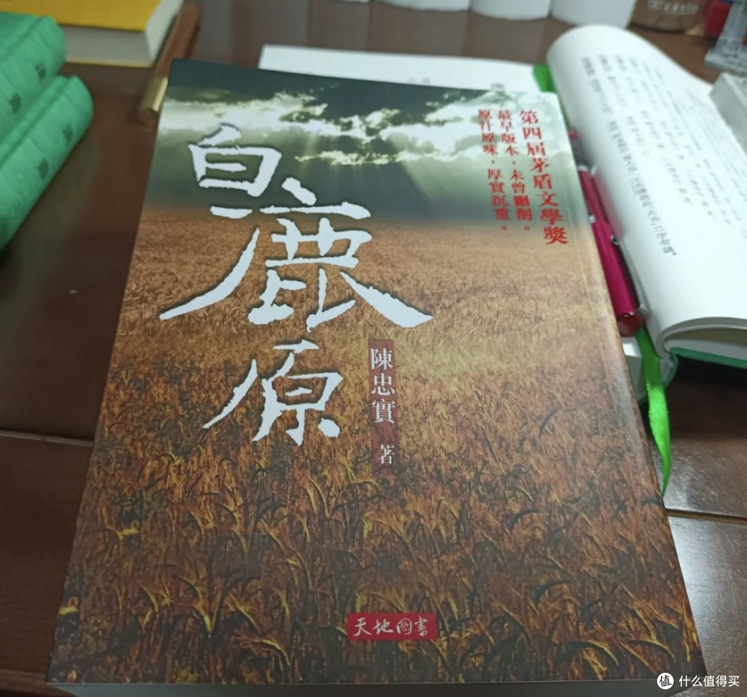 《白鹿原》：黄土地上的人性启示录