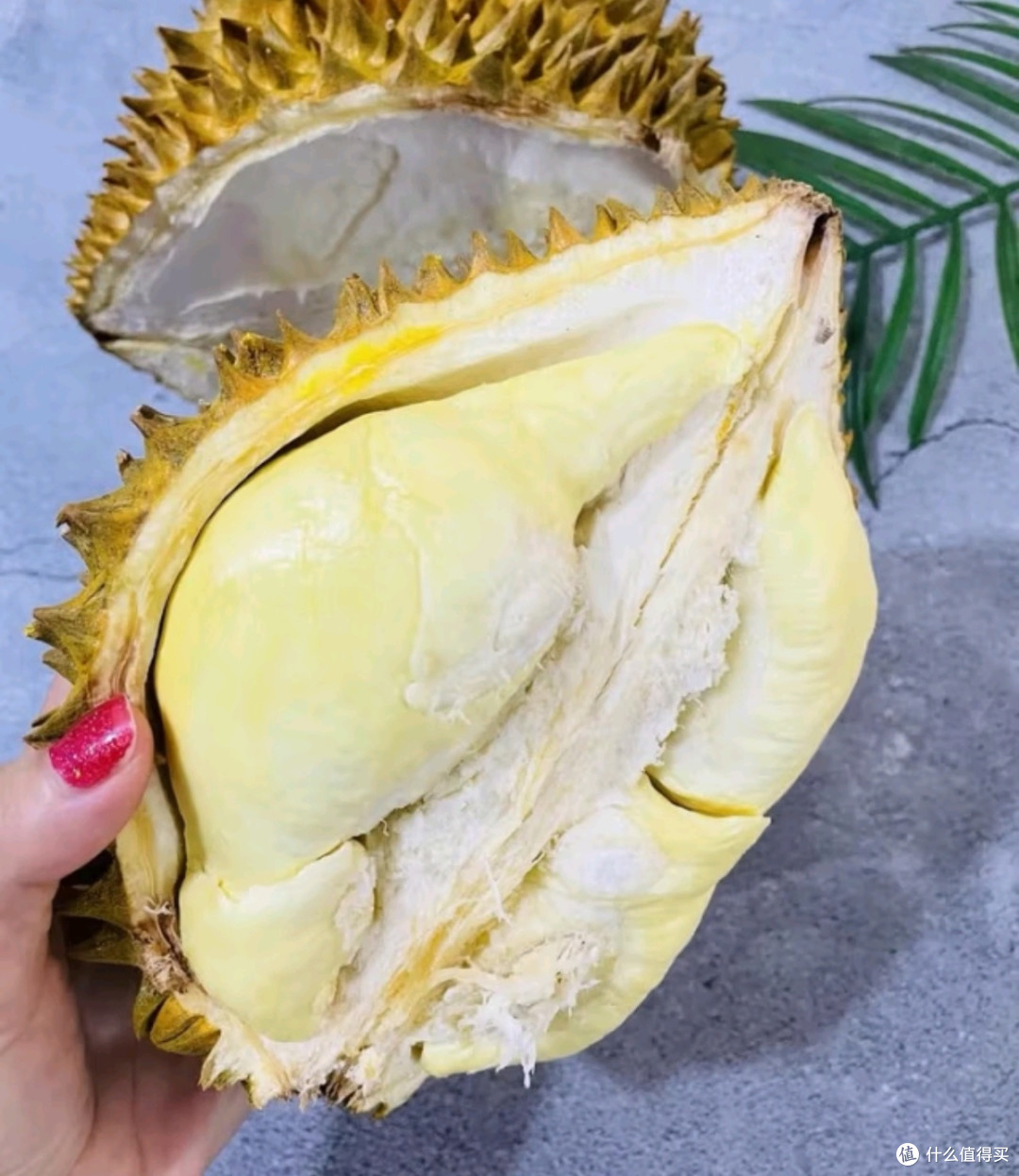 探寻“满分榴莲标准”背后的品质密码🔑