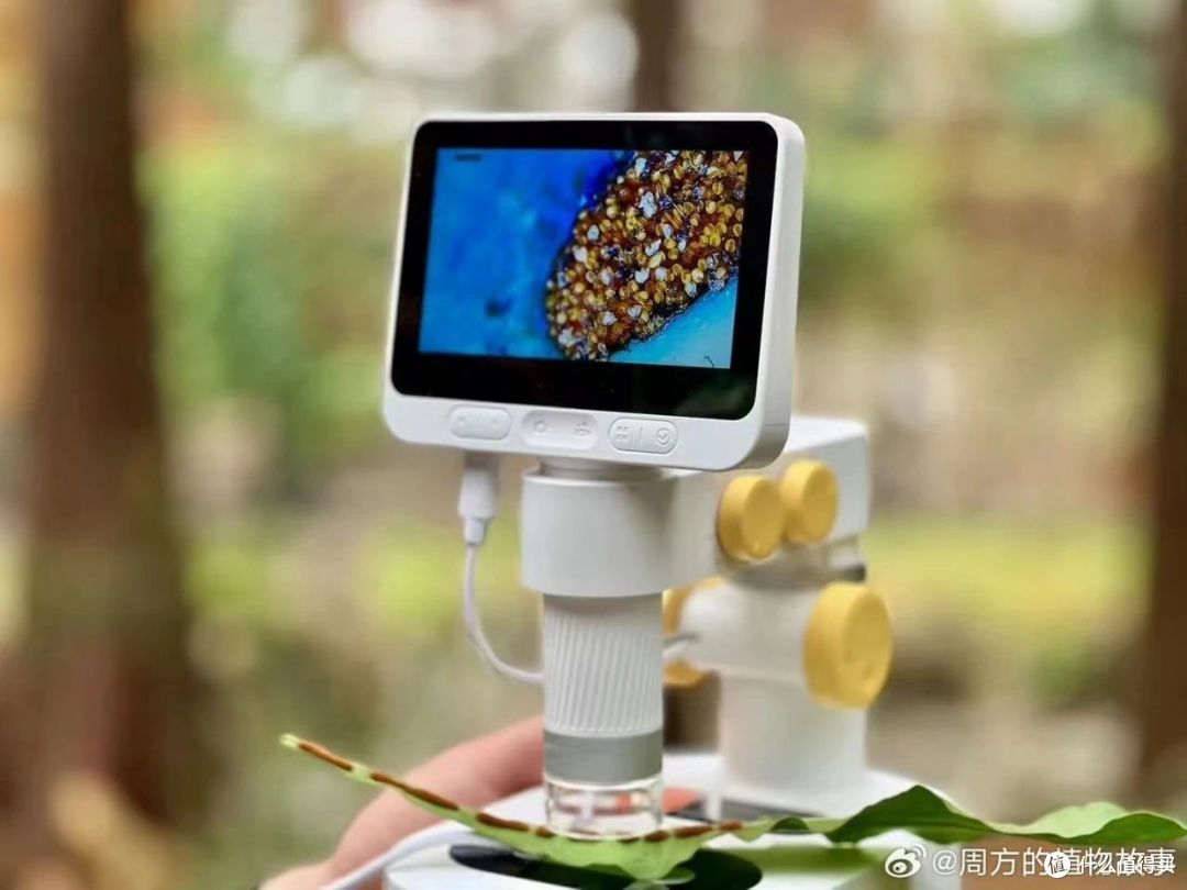 当当狸儿童智能显微镜：让孩子的好奇心变成科学家的 “超能力”