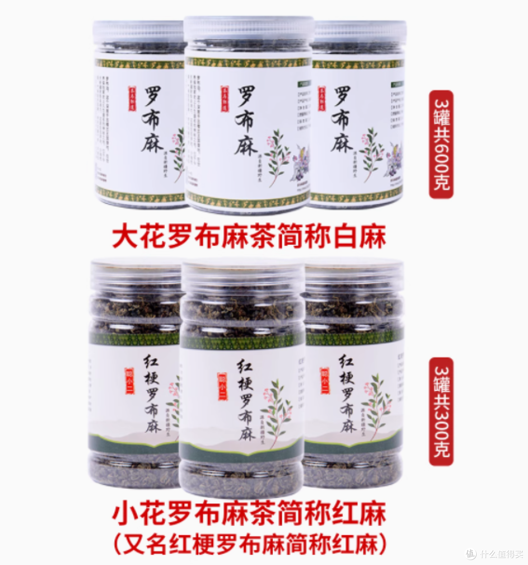 茶马果道新疆情：罗布麻茶，来自新疆的养生瑰宝