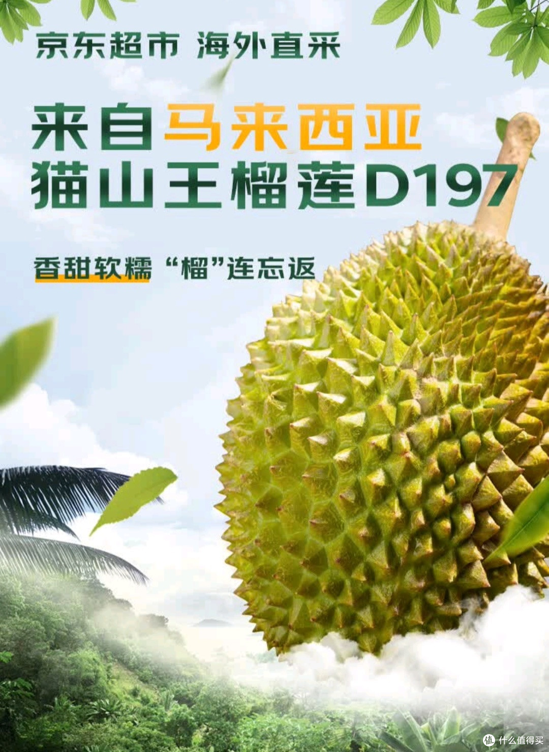 榴莲控闭眼入!京东超市猫山王榴莲