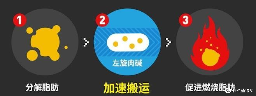 分享一个无痛减肥的方法。