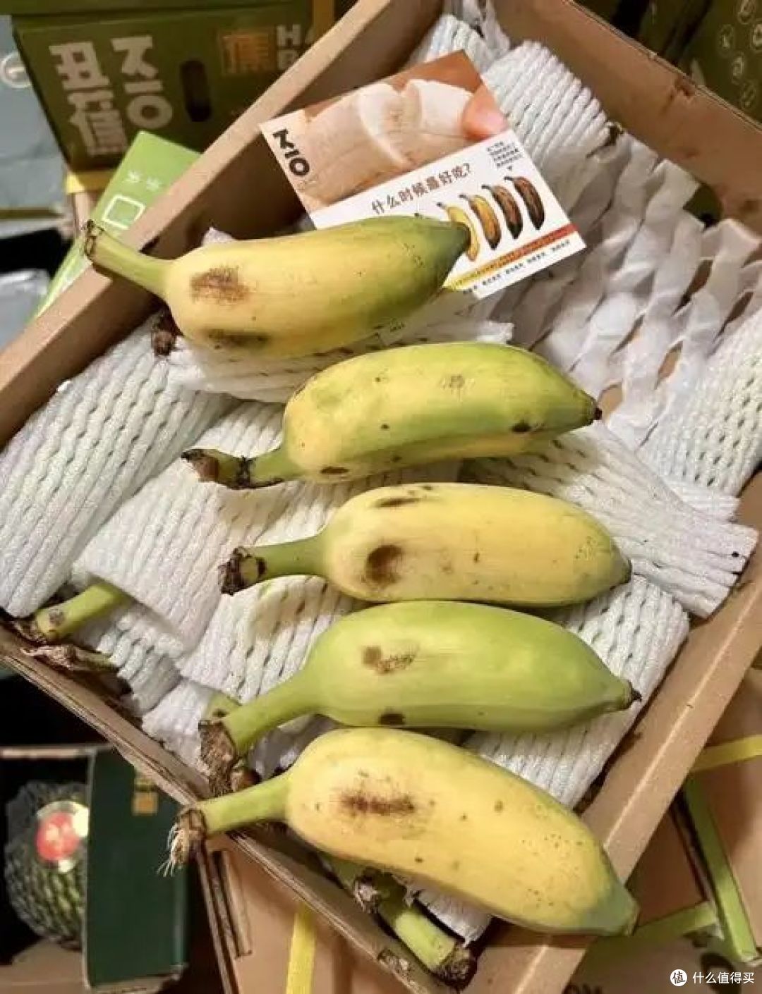 丑蕉和香蕉有什么区别，哪种价格高好吃？