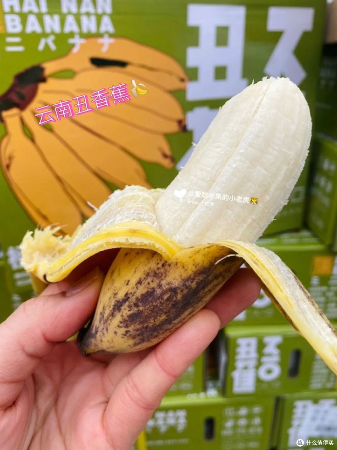 丑蕉和香蕉有什么区别，哪种价格高好吃？