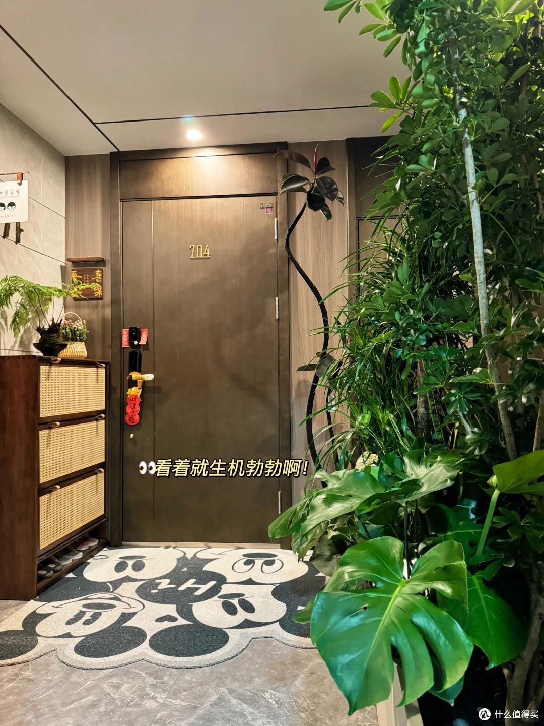 浙江一29岁太太,因“楼道一玄关柜”走红,还摆满花草,太壮观了