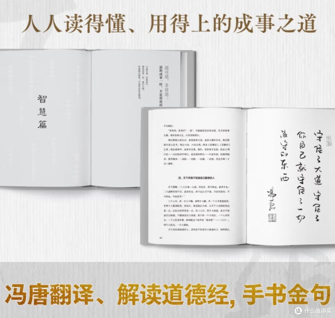 《正道》:冯唐解经,解锁成事“通关秘籍”✨
