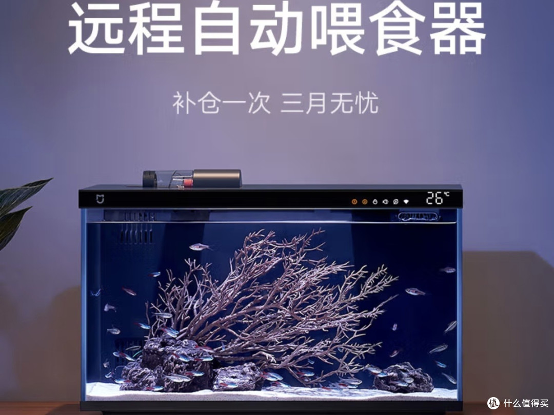 智能生态鱼缸，还原热带雨林