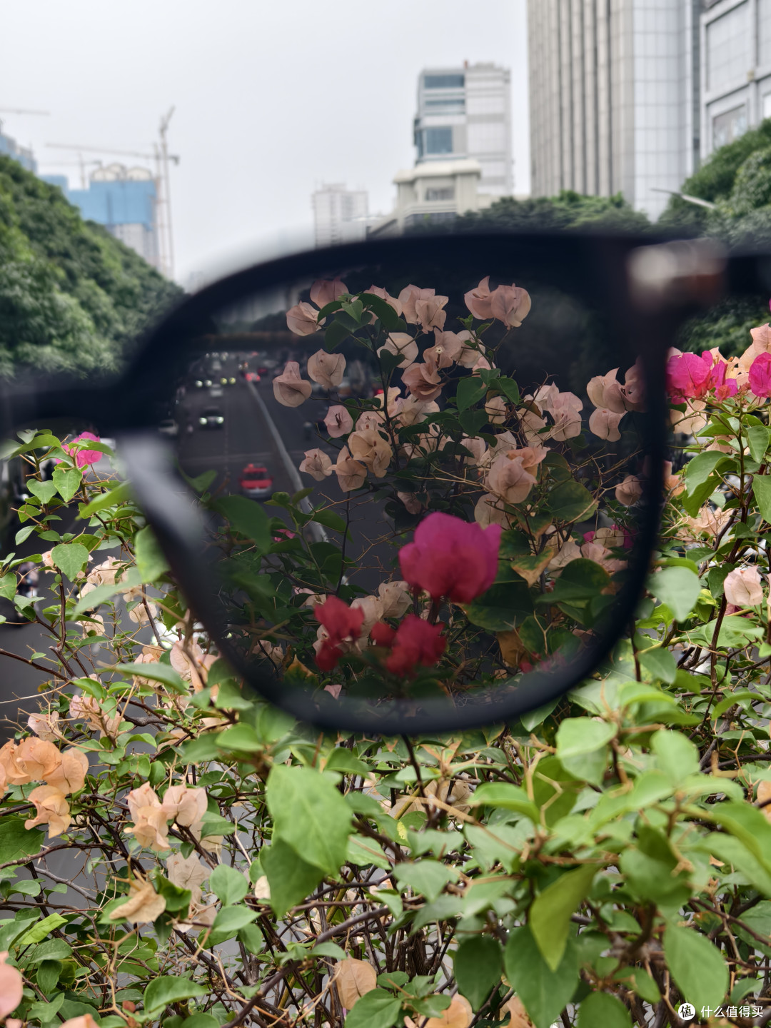 京东眼镜节墨镜选购攻略，暴龙和陌森你更喜欢谁？