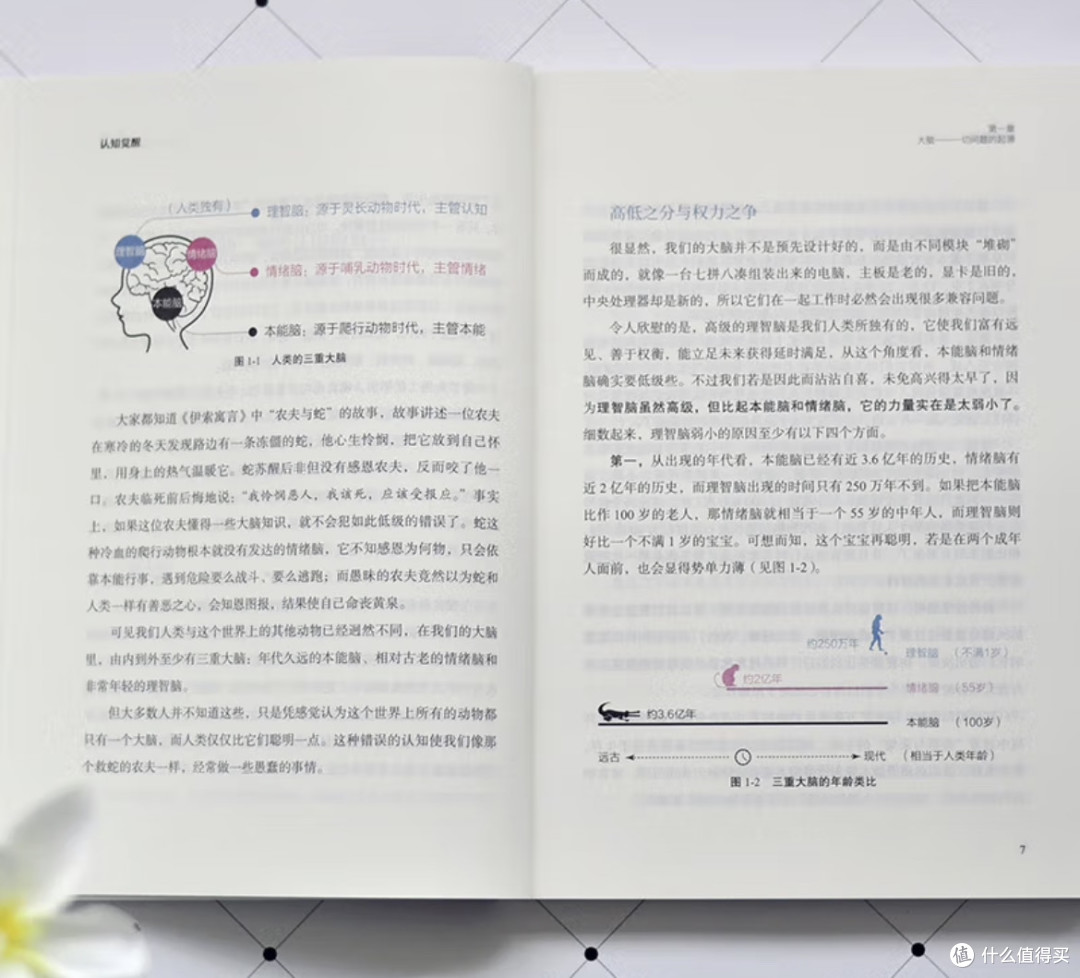 救命!这本“觉醒之书”让我彻底告别内耗摆烂