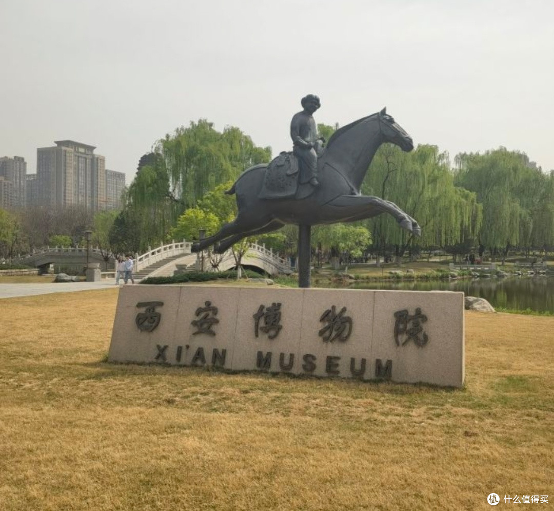 春日逛西安博物馆古槐与小雁塔的时光密码。