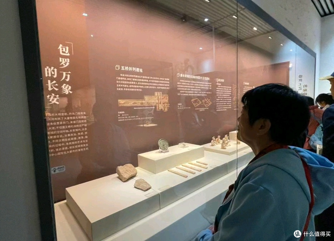 春日逛西安博物馆古槐与小雁塔的时光密码。
