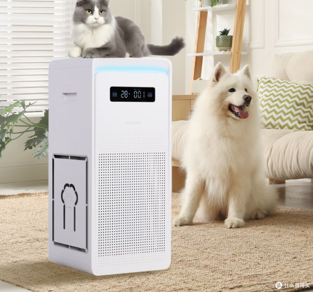 再也不用扫猫毛扫到怀疑人生了,养宠家庭有它就够!