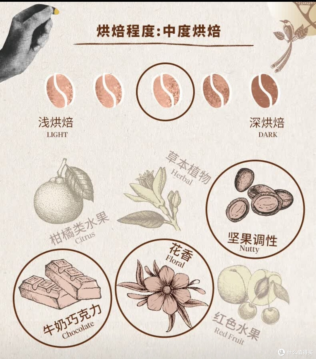 品味大地醇香,LAVAZZA精选